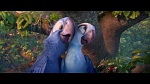 Image Rio 2