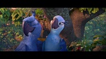 Rio 2 picture