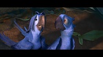 Image Rio 2