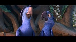 Image Rio 2