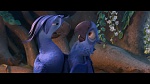 Image Rio 2
