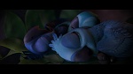 Image Rio 2