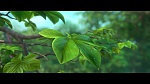 Image Rio 2