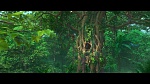 Image Rio 2