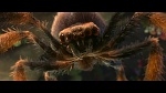Image Rio 2