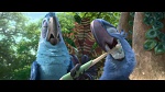 Image Rio 2