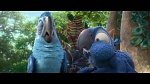Image Rio 2