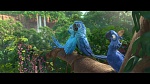 Image Rio 2