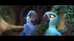 Image Rio 2