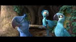 Rio 2 picture
