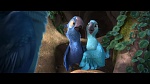 Rio 2 picture