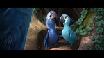 Image Rio 2