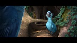 Image Rio 2