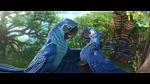 Rio 2 picture