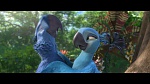 Image Rio 2