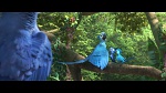 Image Rio 2