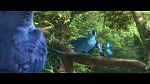 Image Rio 2