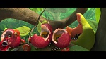 Image Rio 2
