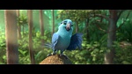 Image Rio 2