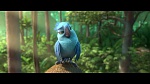 Image Rio 2