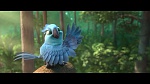 Rio 2 picture