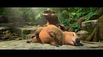 Image Rio 2