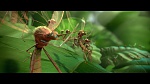 Image Rio 2