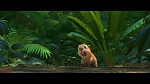 Image Rio 2