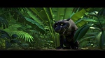 Image Rio 2