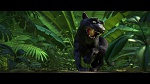 Image Rio 2