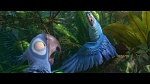 Image Rio 2