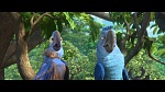 Image Rio 2