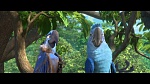 Image Rio 2