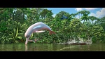Image Rio 2