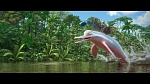 Image Rio 2