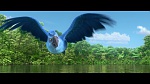 Rio 2 picture