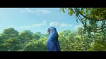 Image Rio 2