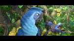 Image Rio 2