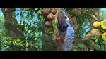 Image Rio 2