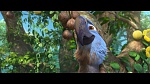 Image Rio 2