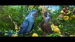 Image Rio 2
