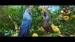 Image Rio 2