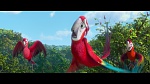 Rio 2 picture