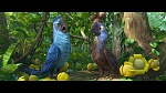 Image Rio 2