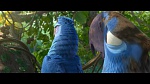 Image Rio 2