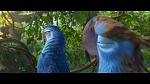 Image Rio 2