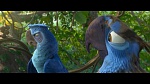Rio 2 picture