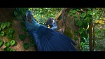 Image Rio 2