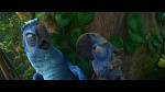 Rio 2 picture