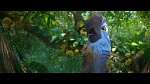 Image Rio 2
